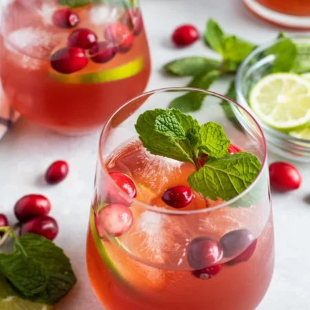 Cranberry Mojito